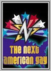 Next American Gay (The)